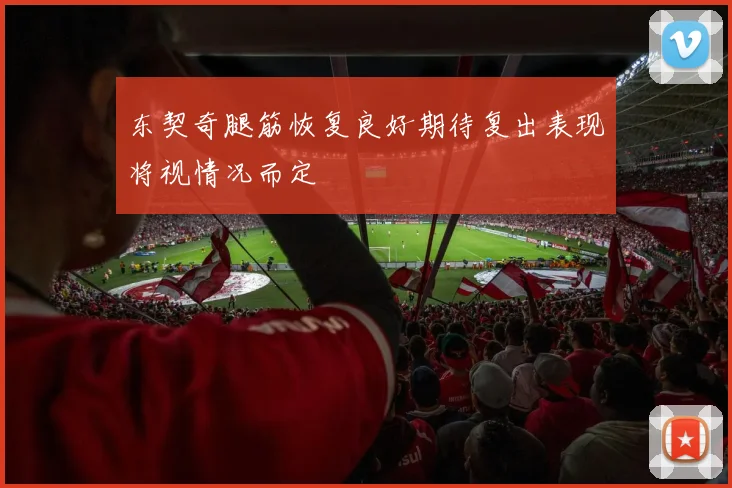 东契奇腿筋恢复良好期待复出表现将视情况而定