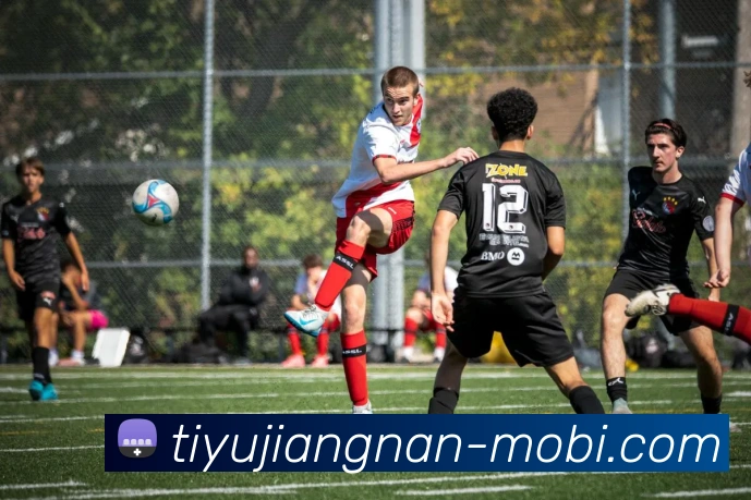 江南体育平台生态图