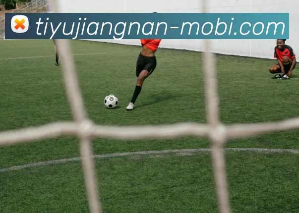 江南体育全站App